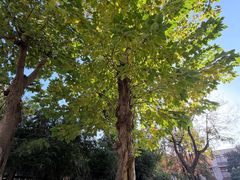 -沪东工人文化宫