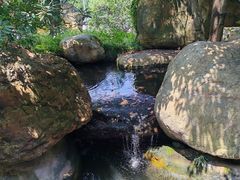 -上海浦东星河湾酒店