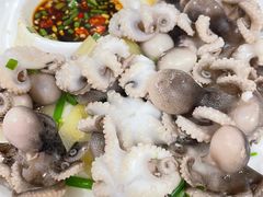 -张鸟园农家乐(张鸟园店)
