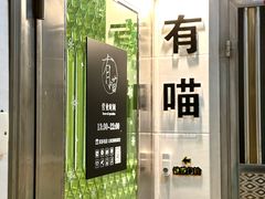 -有喵·猫咖·狗咖·30几只猫10只小狗(岗厦店)