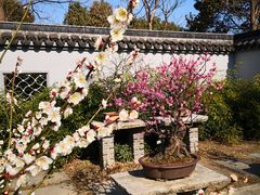 -无锡梅园公园