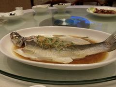 android_upload_pic-双子楼大酒店(城开国际写字楼店)