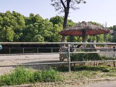 -常州淹城野生动物世界