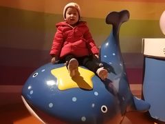 -烟台海昌鲸鲨海洋公园