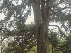 -终南山南五台景区