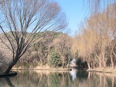 -同里国家湿地公园