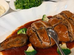 -丁老爷子苏香圆