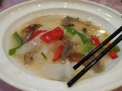 金钱肚-西新饭店(城中店)