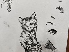 -鲁轩画室·专业美术教学(黄桷坪校区)
