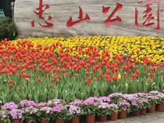 -忠山公园