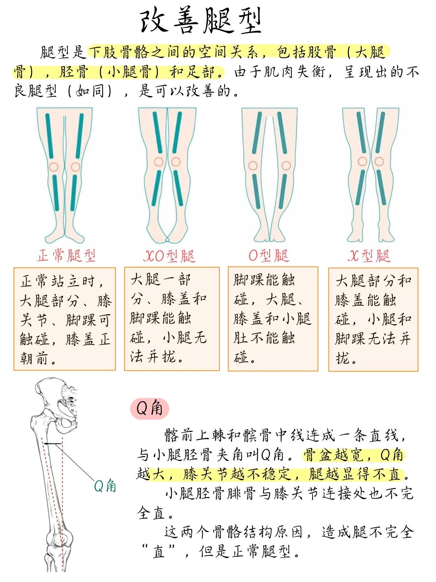 大山式脚趾环改善腿型图片