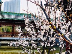 -迎泽公园