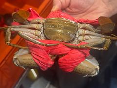 -大洋家·精品潮汕菜·生腌砂锅粥(天河东路店)