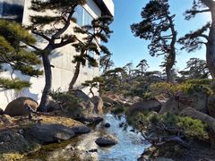 -罗红摄影艺术馆