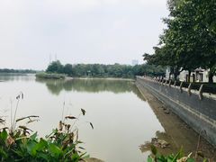 -黄埔古港