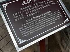-青岛崂山太清宫