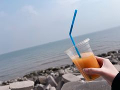 -东堤公园