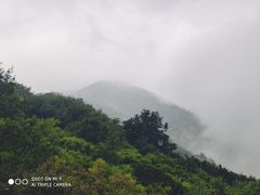 -阳台山自然风景区
