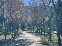 -阳台山自然风景区