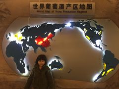 -青岛葡萄酒博物馆