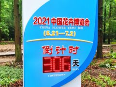 -东平国家森林公园
