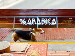 -% Arabica阿拉比卡咖啡(武汉天地店)