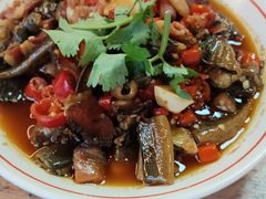 -羊子两室一厅
