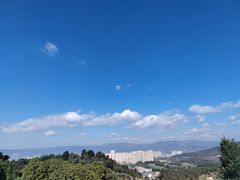 -云南野生动物园