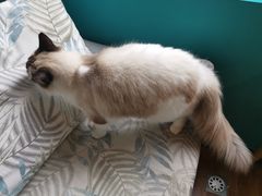 -默迹咖啡馆