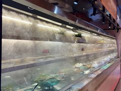 -串一火锅(赛格国际购物中心店)