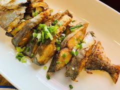 -陈鹏鹏潮汕菜·卤鹅·海鲜·砂锅粥(益田假日店)