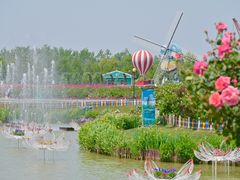-荷兰花海