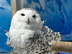 -成都浩海立方海洋公园