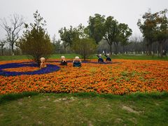 -狼山风景名胜区