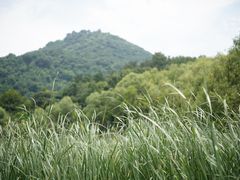 -西湖风景区-江洋畈生态公园