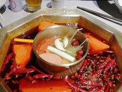 -蜀九香火锅(玉林店)