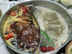 -菌子鲜汤野生菌锅