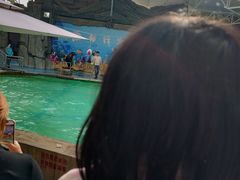 -合肥野生动物园