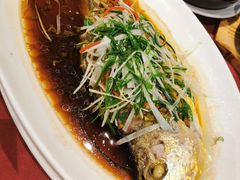 -老吉士酒家(天平路店)