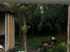 -广州长隆野生动物世界