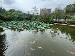 -广州神农草堂中医药博物馆