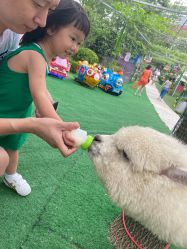 -萌宠亲子动物乐园(槐房万达店)