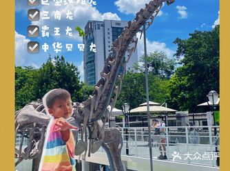 广州亲子游｜恐龙奇遇记避暑遛娃胜地