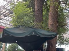 -龙达温泉生态城