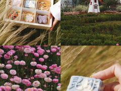 -昆明冠生园·蛋糕·面包(南强街店)