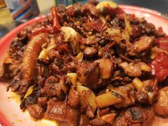 -柴窝堡22号辣子鸡·传承新疆菜