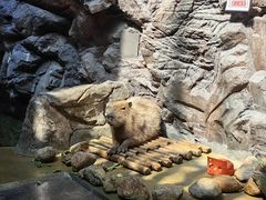 -南昌融创海世界