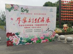 -合肥滨湖国家森林公园