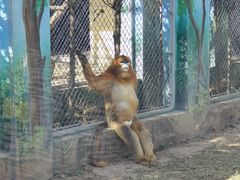 -西安秦岭野生动物园