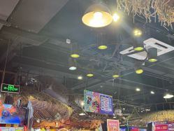 -卡通尼·Safari非洲探索乐园·生日会(金桥国际商业广场店)